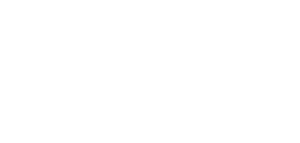 DSM Logo 2026 200px white